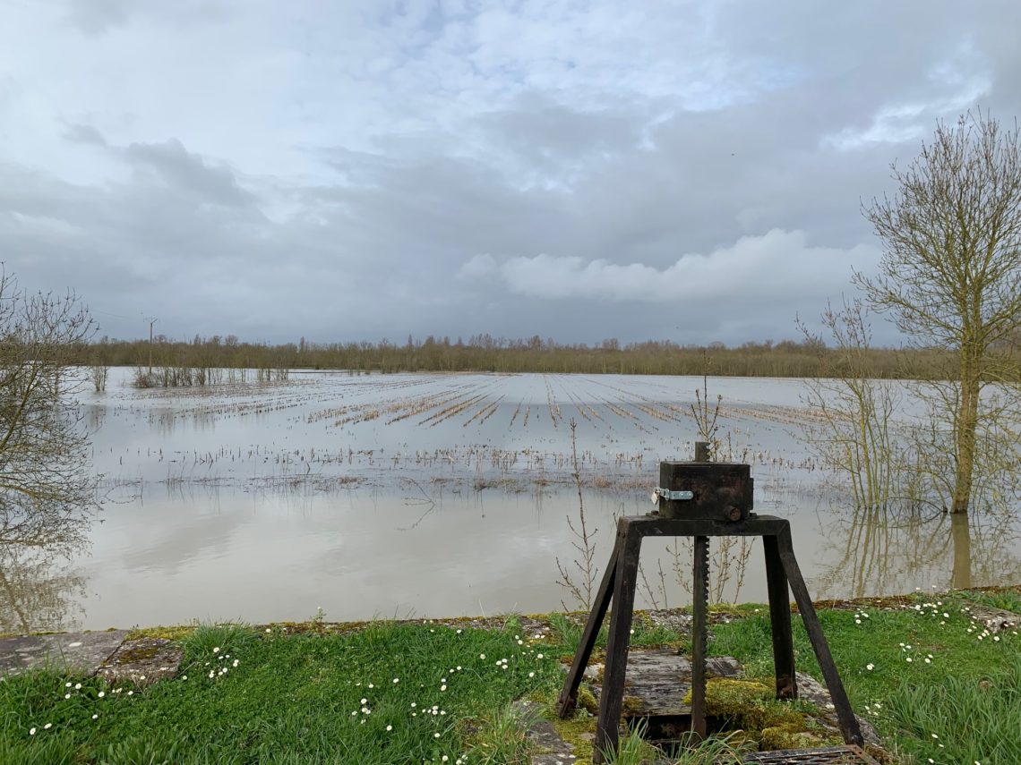 Pourquoi tant d’inondations dans le marais mouillé ?